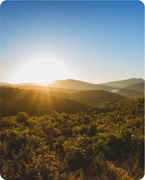 Serene Hill View
